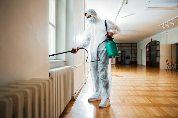 Best Real Estate Pest Inspections  in Yellow Springs, OH